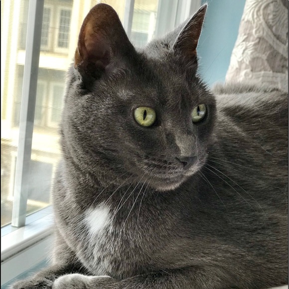 Shop our mom's closet! 😻😻😻 - Picture 10 of 16